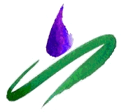 Kairos Comotion Link